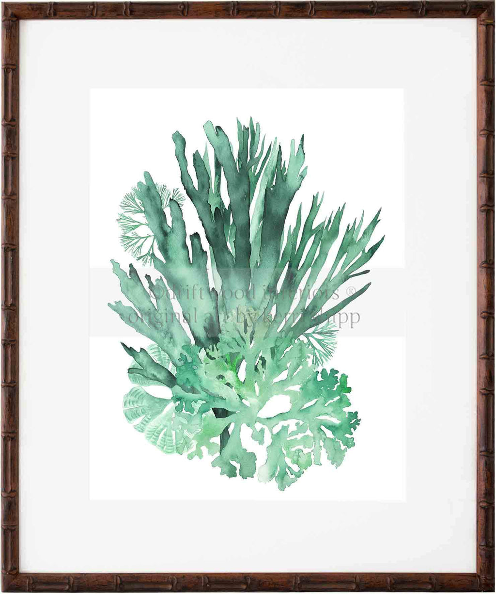 Coral Specimen IV Wall Art, Canvas Prints, Framed Prints, Wall