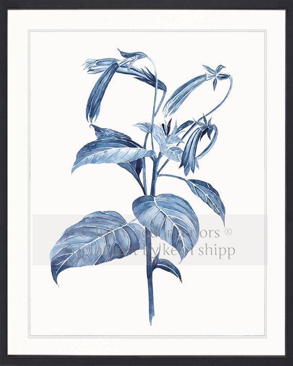 Botanical Wall Art Print - Botanical Study III in Pale Blue