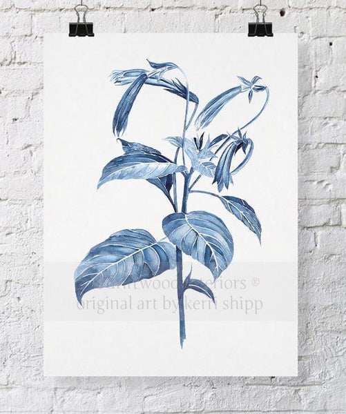 Botanical Wall Art | Botanical Study III in Pale Blue by Kerri Shipp