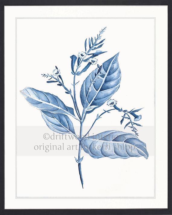 Botanical Wall Art Prints - Botanical Study I in Blue