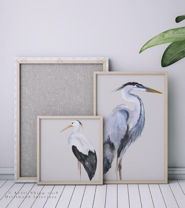 Great Blue Heron Watercolour Wall Art Print by Kerri Shipp